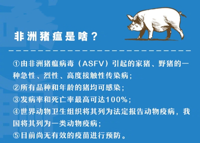 1639561443521483.png 664988205885.png